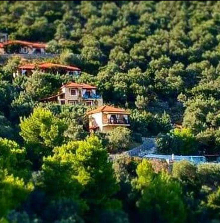 Skiathos Garden Cottages Luaran gambar